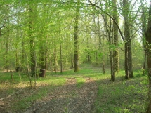 Le Ruisseau Chaud Forêt de la Double