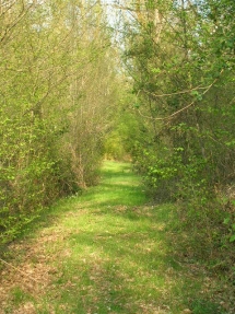 Le Ruisseau Chaud Forêt de la Double