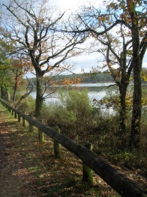 Le Ruisseau Chaud Forêt de la Double