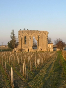 Le Ruisseau Chaud, Saint Emilion