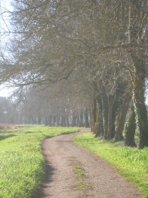 Le Ruisseau Chaud Les vignes à St Sulpice de Faleyrens