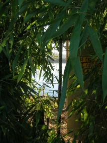 le Ruisseau Chaud les Pêcheries sur la Dordogne à St Sulpice de Faleyrens