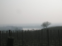 le Ruisseau Chaud, le Tertre de Fronsac