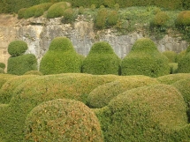 le Ruisseau Chaud les Jardins de Marqueyssac